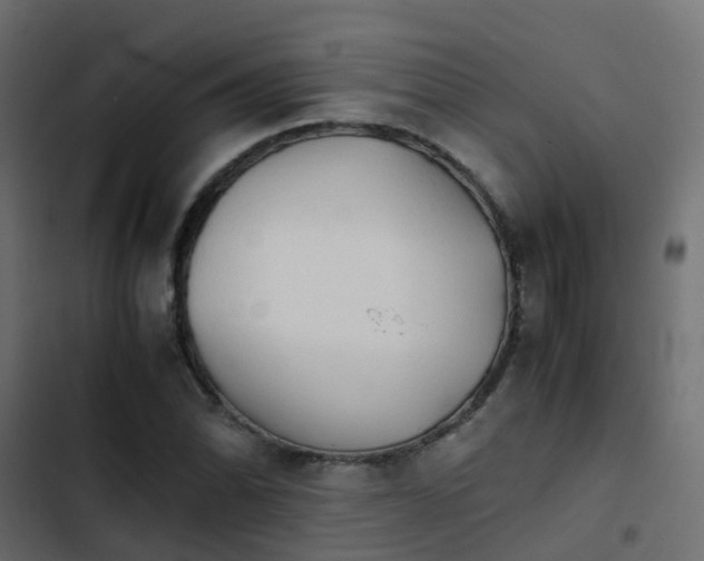 X0000103961070200809261806