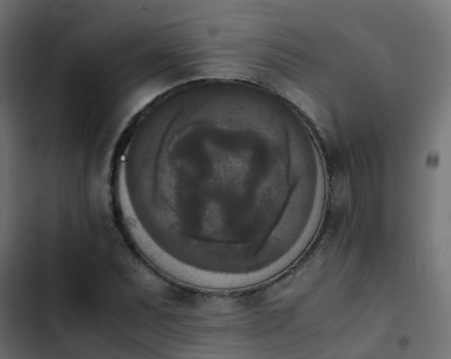 X0000103961071200809261806