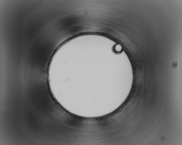 X0000103961073200809261806