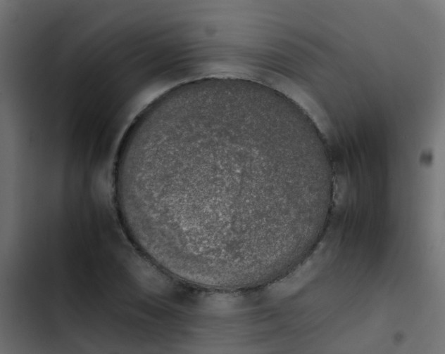 X0000103961074200809261806