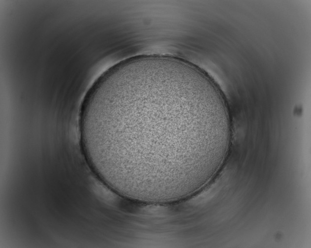 X0000103961075200809261806