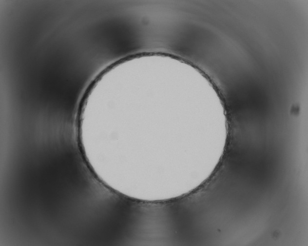X0000103961076200809261806