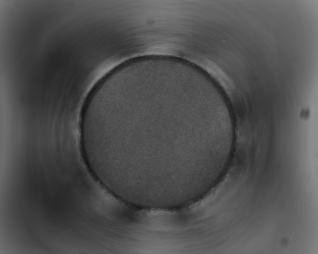 X0000103961077200809261806