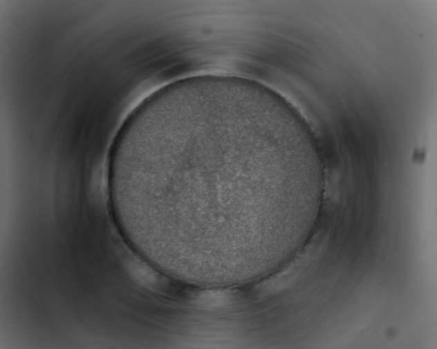 X0000103961078200809261806