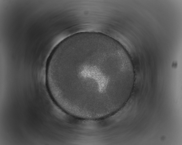 X0000103961079200809261806