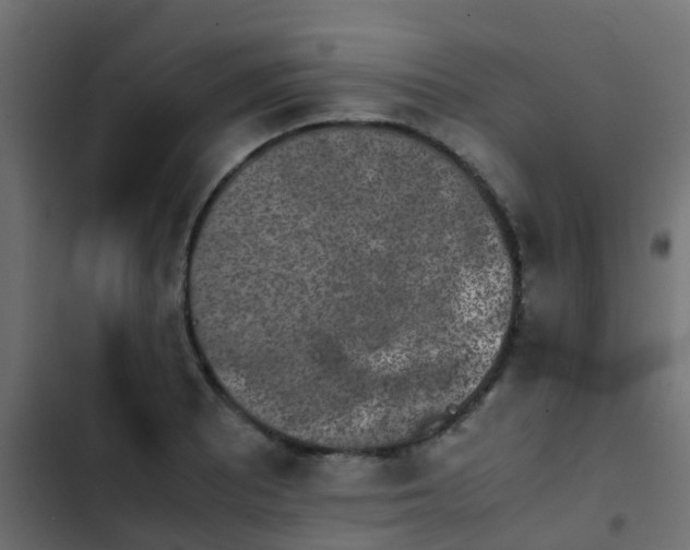 X0000103961081200809261806