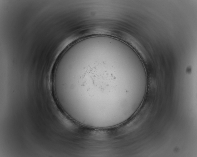 X0000103961082200809261805