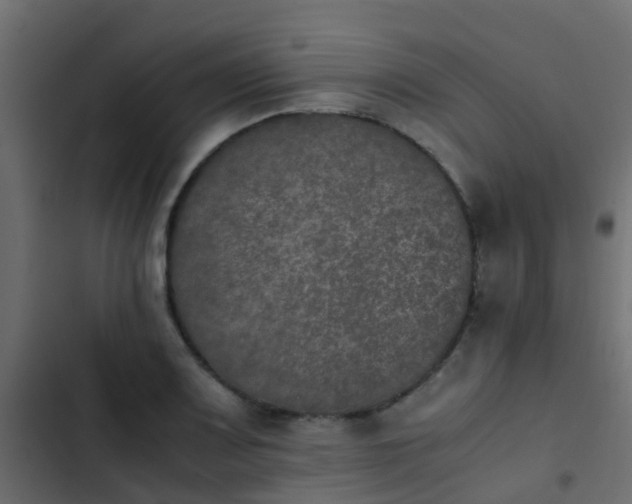 X0000103961083200809261805