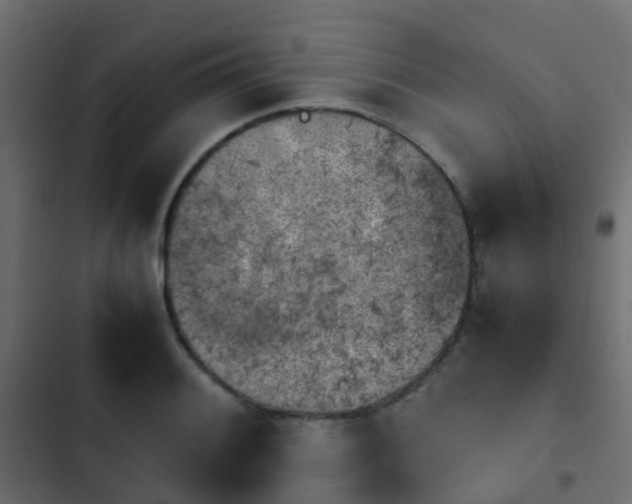 X0000103961084200809261805