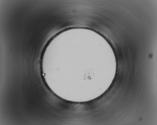 X0000103961085200809261805