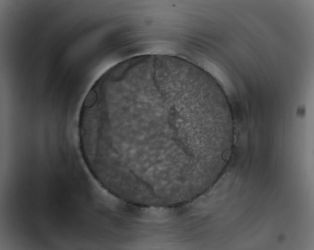 X0000103961087200809261805