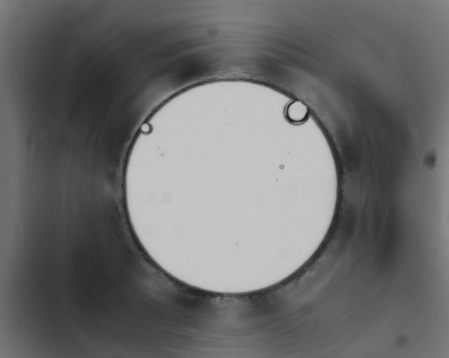 X0000103961089200809261805
