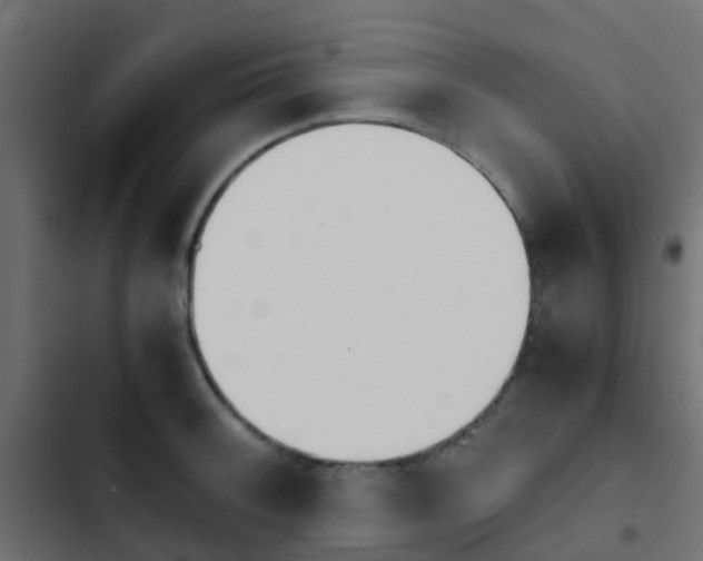 X0000103961092200809261805