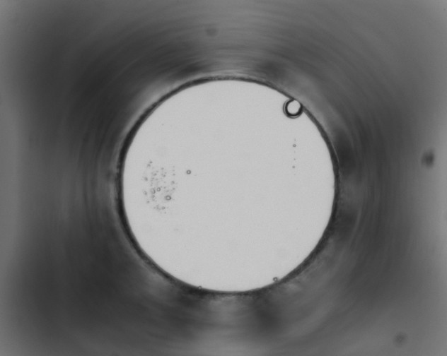 X0000103961093200809261805