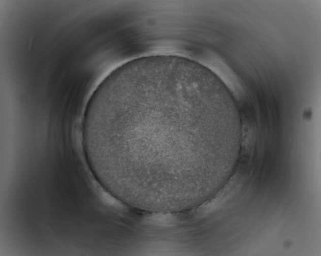 X0000103961094200809261805