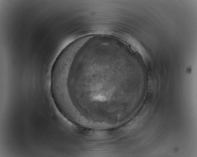 X0000103961095200809261805