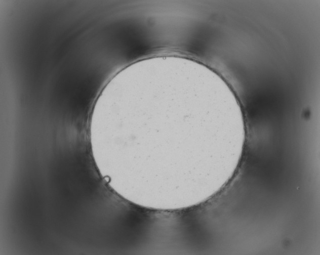 X0000103961097200809261805