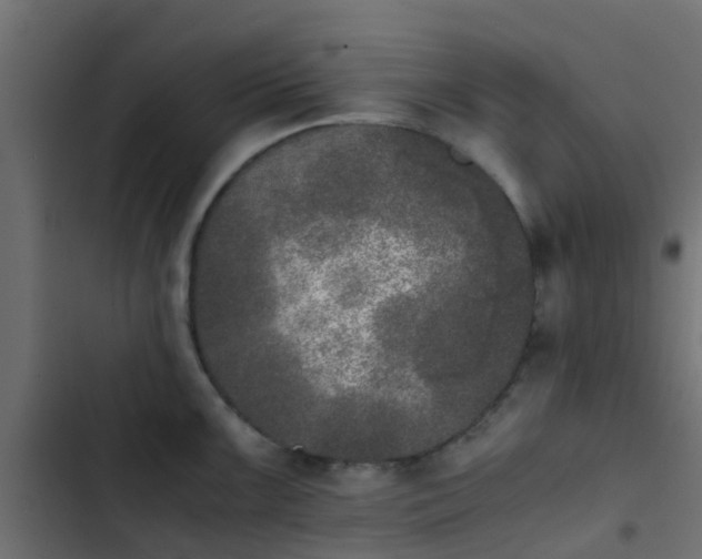 X0000103961099200809261805
