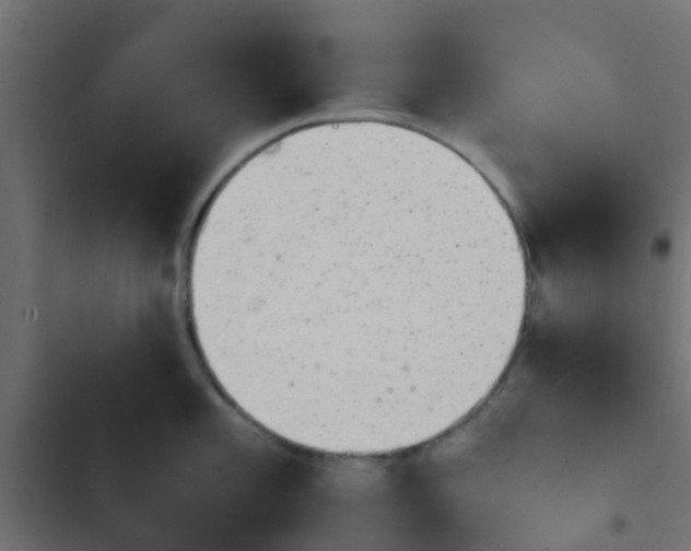 X0000103961101200809261805