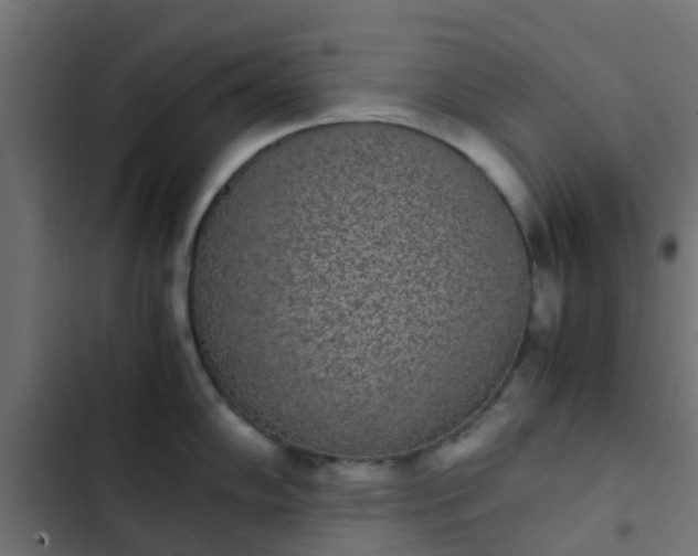 X0000103961102200809261805
