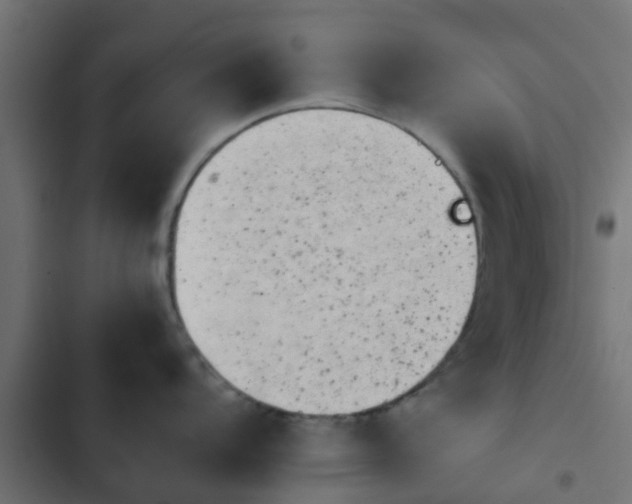 X0000103961104200809261805