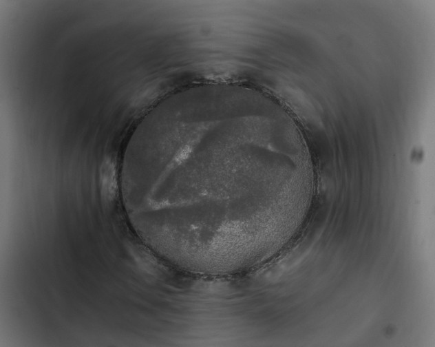 X0000103961106200809261805