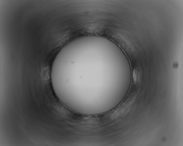 X0000103961107200809261805