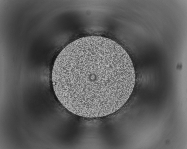 X0000103961108200809261805