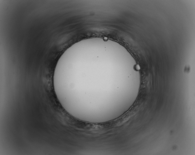 X0000103961109200809261805