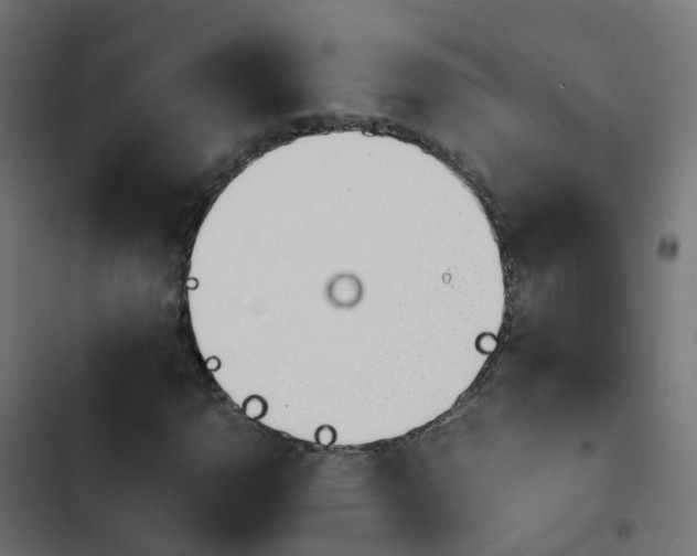 X0000103961110200809261805