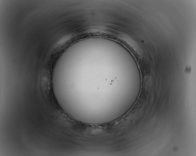 X0000103961111200809261805