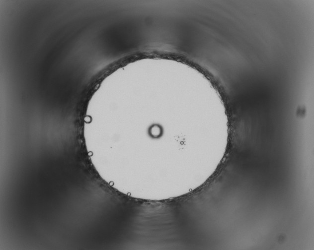 X0000103961112200809261805
