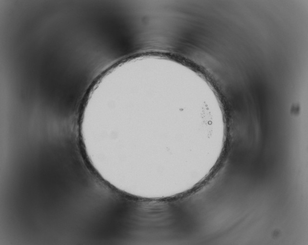 X0000103961113200809261805