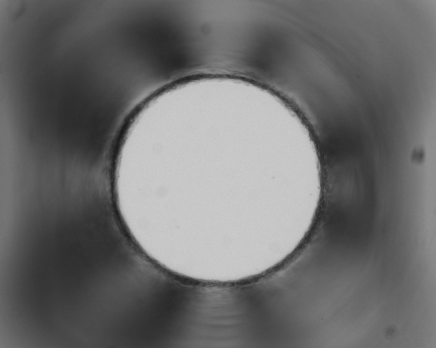 X0000103961114200809261805