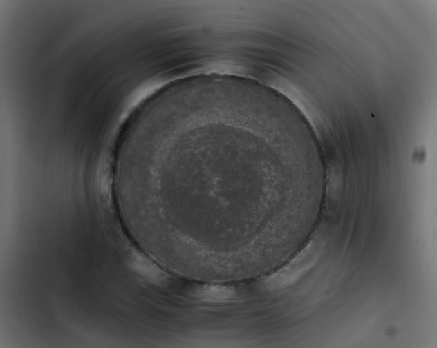 X0000103961115200809261805