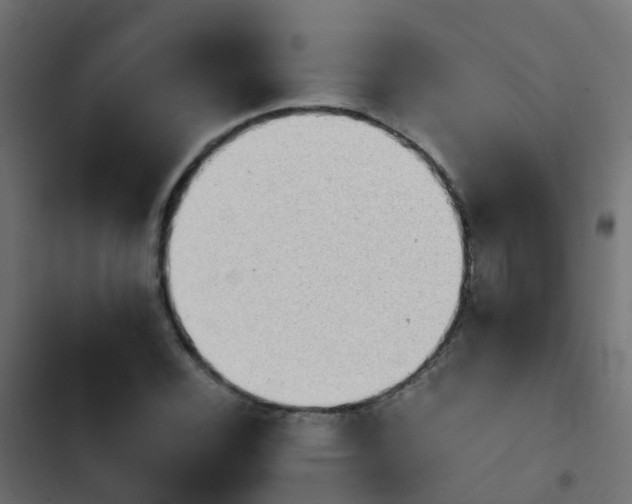 X0000103961116200809261805