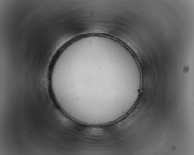 X0000103961119200809261805