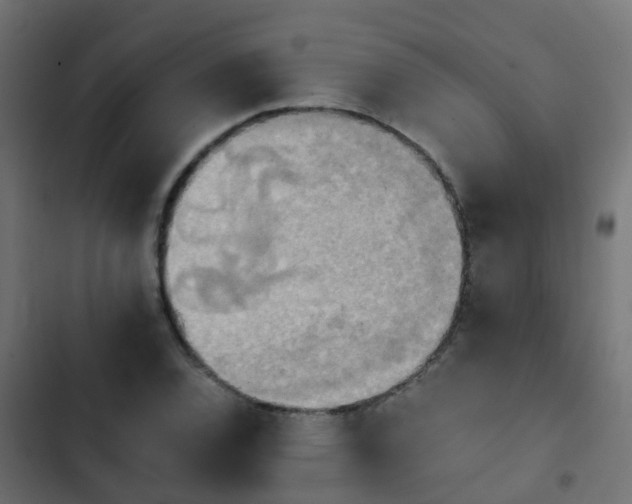 X0000103961120200809261805