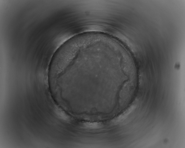 X0000103961121200809261805