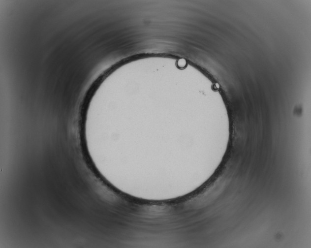 X0000103961122200809261805