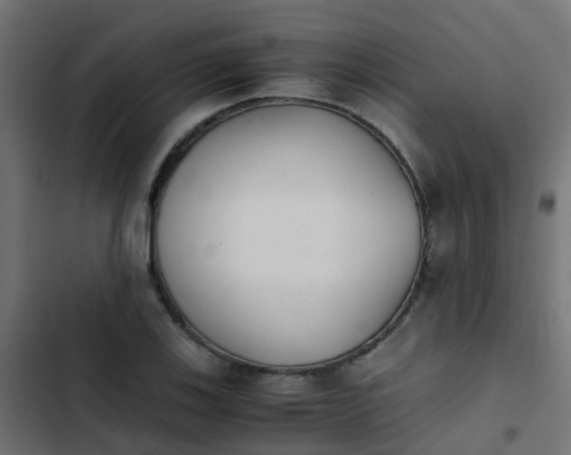 X0000103961123200809261805