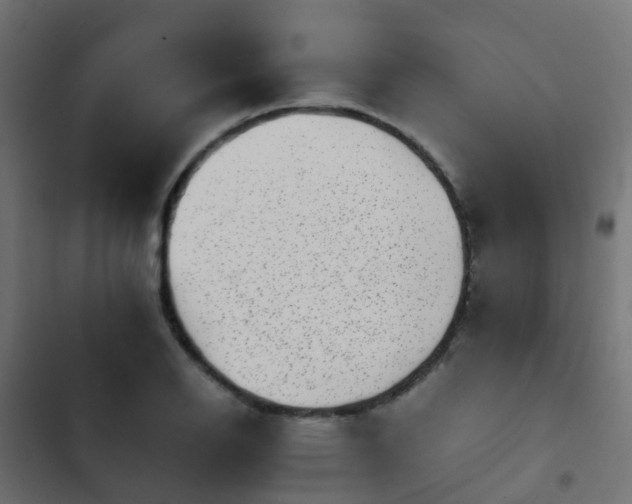X0000103961126200809261805