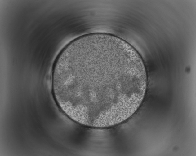 X0000103961132200809261805