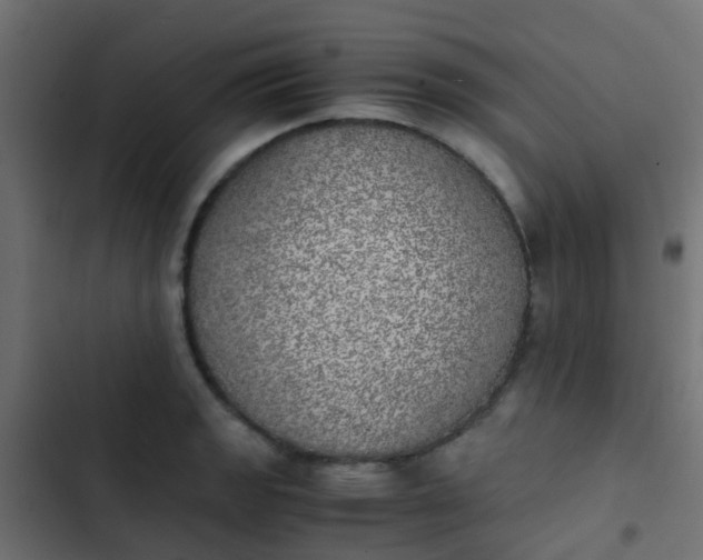 X0000103961133200809261805