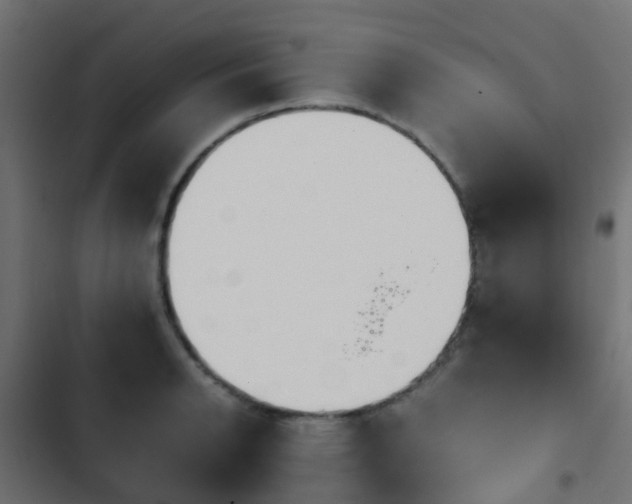 X0000103961134200809261805