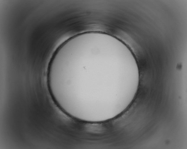 X0000103961135200809261805
