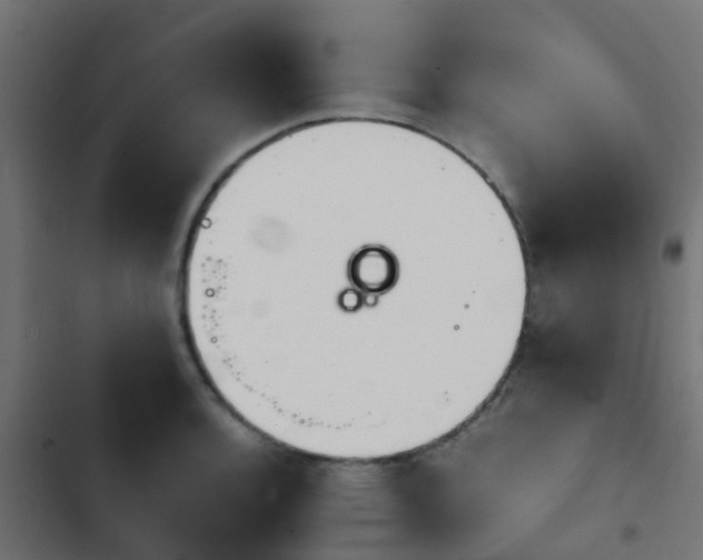 X0000103961136200809261805