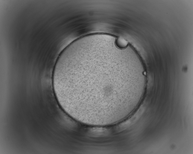 X0000103961137200809261805