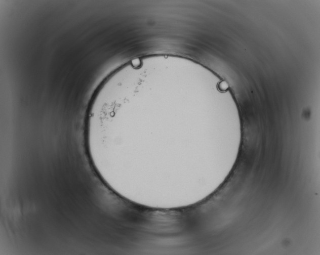 X0000103961138200809261805
