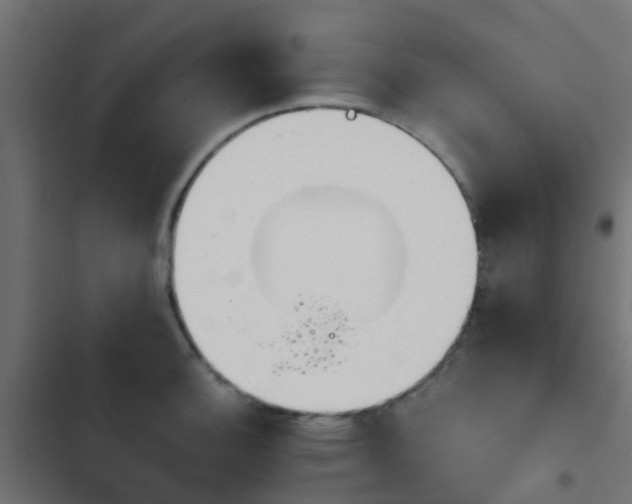 X0000103961140200809261805